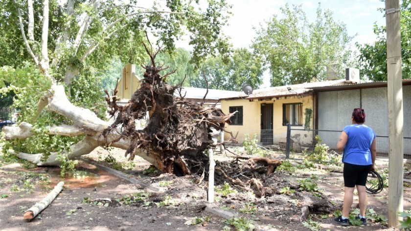 Un muerto, heridos y miles sin luz por el temporal que azotó al centro del país