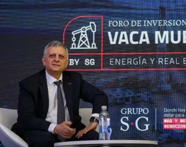 Horacio Marín, sobre el proyecto RIGI de YPF: 