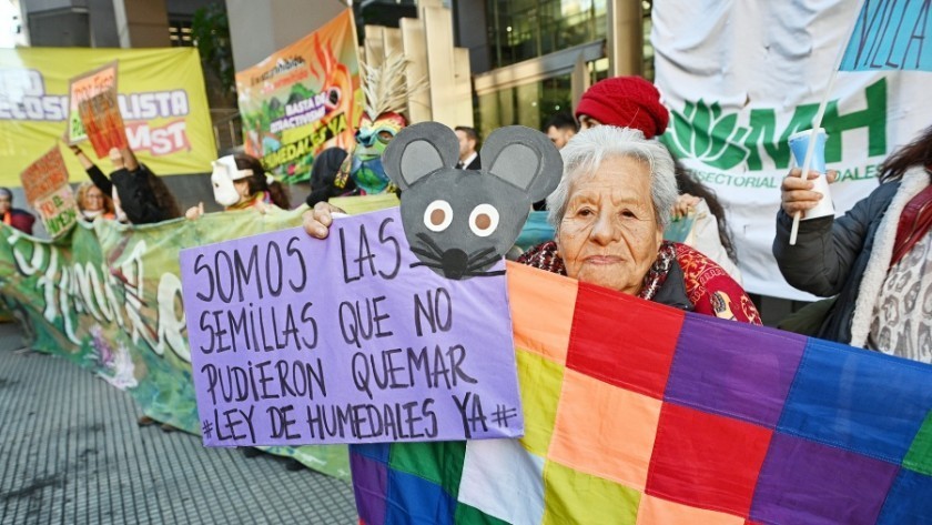 Ambientalistas se encadenaron por una Ley de Humedales